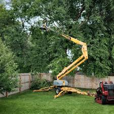 Best Emergency Tree Removal  in Bonneauville, PA